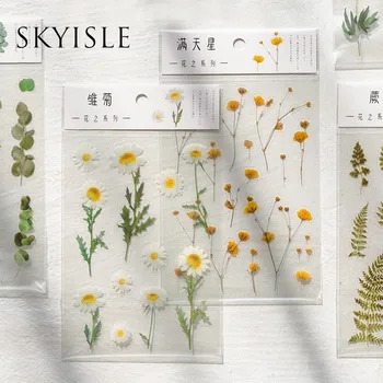 SKYISLE 12 Minták Természetes Daisy Lóhere Japán Szavak Matrica Átlátszó PET Anyag Virágok, Levelek Növények Deco Stickers