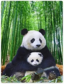 Szuper Puha, Meleg Takaró, Kanapé Dobja Cuki Panda Anya, mind a Gyermek Bambusz Állat