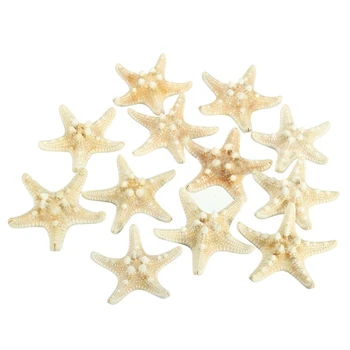 Gyakorlati 12 x Fehér Bütykös Csillag 5cm -7cm Tengeri Csillag Shell Beach Esküvői Kijelző Jármű Dekoráció