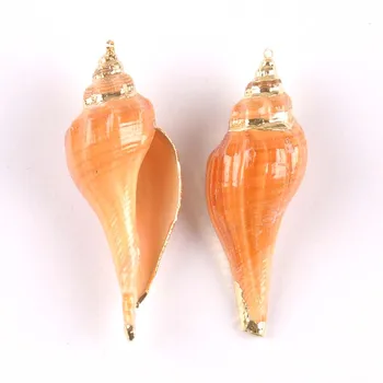 Természetes spirál Shell Aranyozott a Kagyló fülbevaló, hogy DIY, kézzel készült medálok medál Kagylók 5-7cm 2db TRS0331