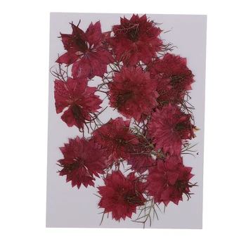 12 Db Préselt Igazi Szárított Virág-az-köd a Gyanta DIY Kézzel készített Gyanta Dísz Kézműves Ékszerek Készítése Otthon Szárított Virág