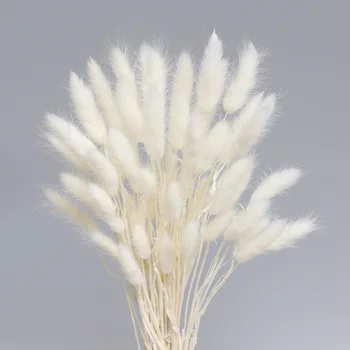 60-70cm Füves pusztán Nyúl Farka Esküvői lakberendezési Természetes Szárított Virág Díszek